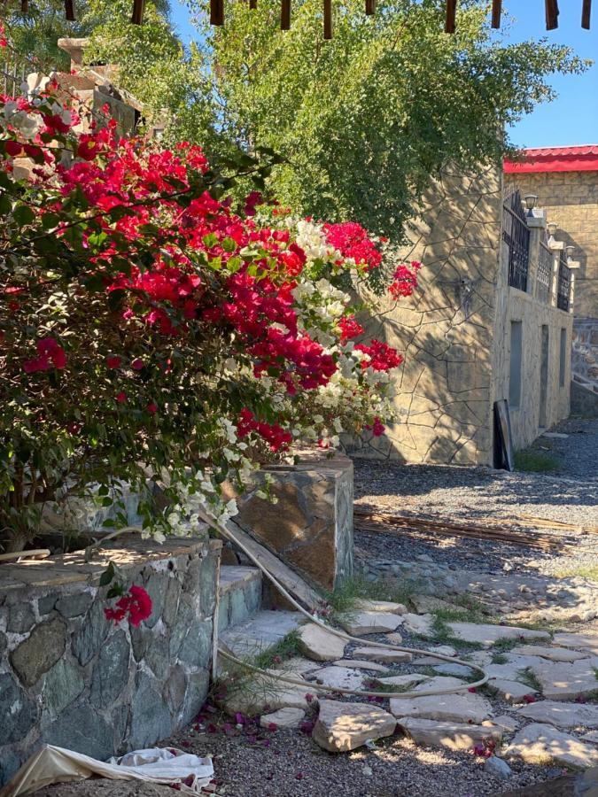 Uae Farm Villa Qur Eksteriør billede