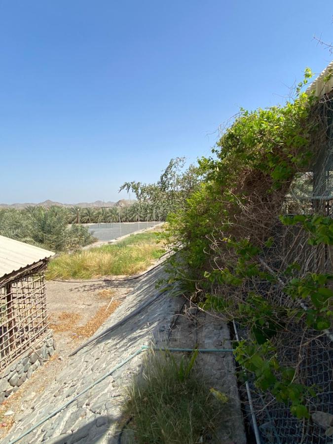 Uae Farm Villa Qur Eksteriør billede